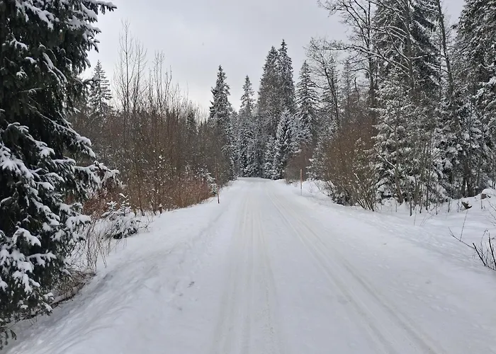 Alojamento de Turismo Selvagem Anna Tatranská Štrba